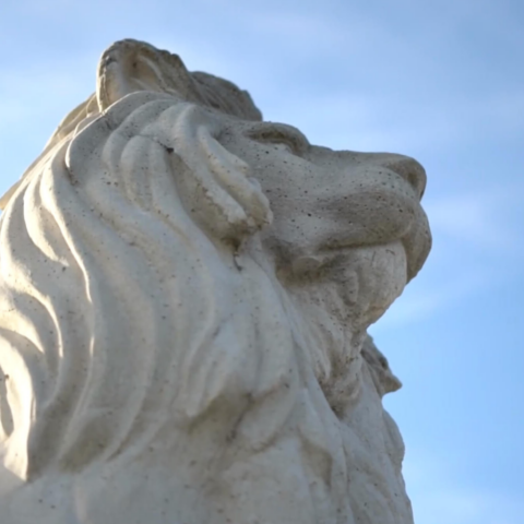 Foundation Academy 冬天的花园 Lion Statue